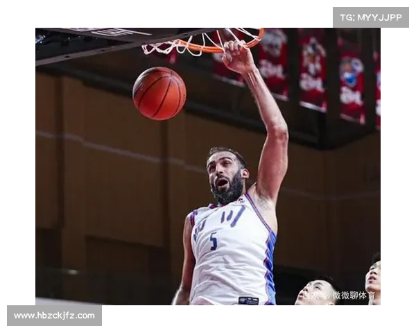 哈达迪不退役的背后原因分析:坚持与挑战的动力与坚持